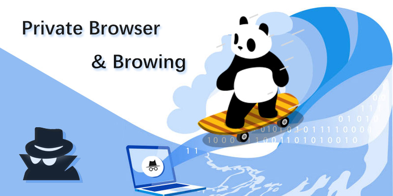 Private Browser/Browsing